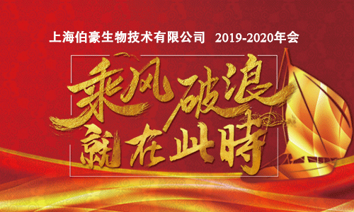 2020 九游平台官网年会盛典