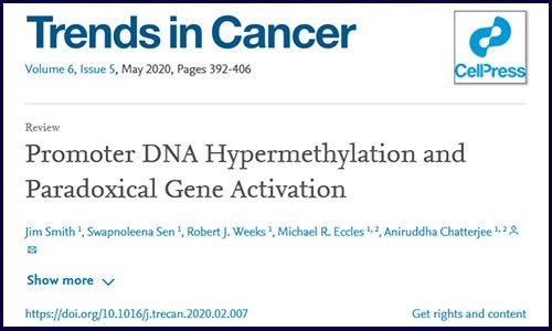 Trends in Cancer 综述 | 启动子 DNA 高甲基化激活基因高表达