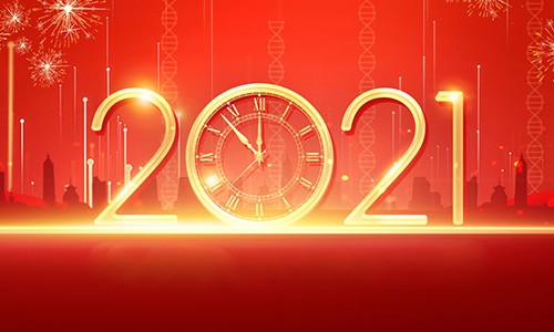 九游平台官网祝您新年快乐！