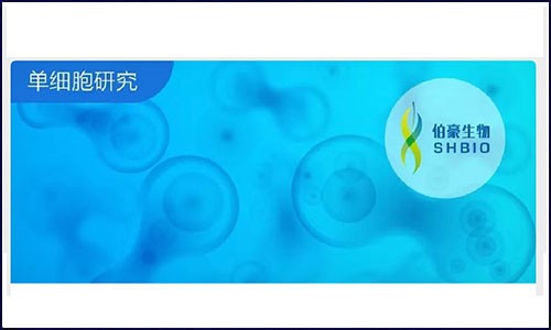 新品上市！BD 公司携 30 种抗体组合助力单细胞多组学研究！