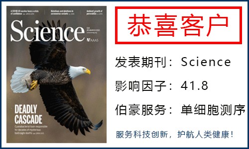 客户单细胞项目文章登 Science| 田志刚院士团队发现天然淋巴细胞的骨髓外发育新途径