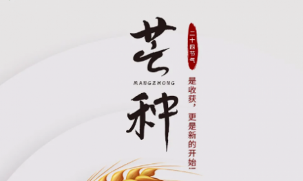 芒种 | 是收获，更是新的开始！