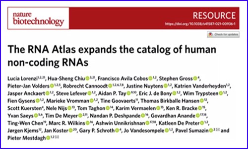 更全面的人类转录组图谱 | 基于 300 种人类细胞和组织类型绘制，非编码 RNA 数量增加 8%