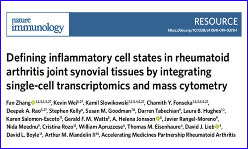 文献解读 | 单细胞转录组学分析类风湿性关节炎关节滑膜组织中的炎症细胞
