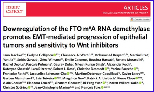 Nature Cancer 发文 |RNA 甲基化状态与多种上皮癌的侵袭和转移表型密切相关