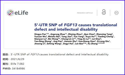 项目新文 | 全基因组测序技术揭示智力障碍致病性新突变位点的作用机制