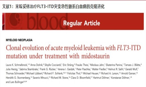 文章解读 |Blood（IF 22.112）：急性髓系白血病的克隆演化研究