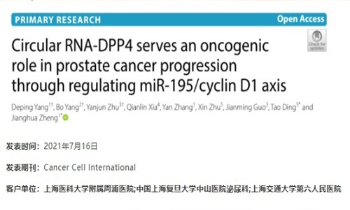 项目文章 | 环状 RNA-DPP4 通过 miR-195/ 细胞周期蛋白 D1 轴来调节前列腺癌的进展