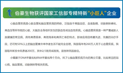 心脑血管疾病 | 甲基化研究思路分享