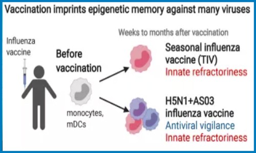 单细胞抽核 | 单细胞测序联合 scATAC-seq 分析疫苗接种刺激免疫系统后的表观基因重构