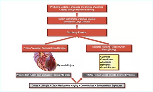 《欧洲心脏杂志》IF 29.983 | 一级预防：基于 Olink 改进心血管风险预测新方案