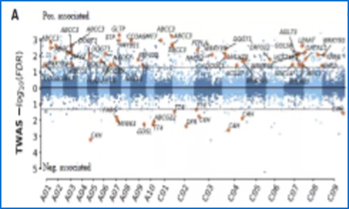 多组学联合分析 | 万金油 RNA-seq —— 联合基因组学