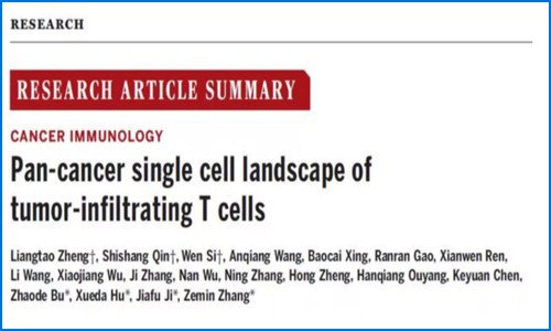 文章解读 | 单细胞测序揭示肿瘤浸润性 T 细胞的泛癌单细胞图谱