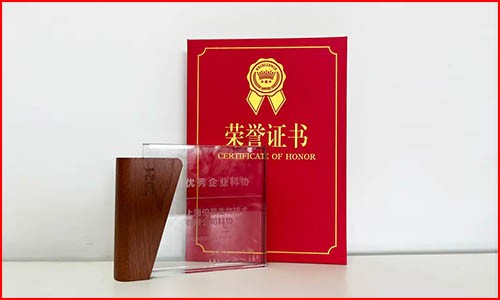 喜讯 | 九游平台官网荣获“浦东新区优秀企业科协”