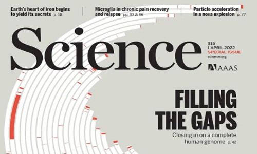 人类基因组图谱 |Science 特刊 6 篇长文系统梳理 T2T 参考基因组研究成果