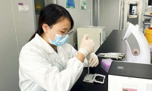 带你走进 | 九游平台官网重庆单细胞实验室