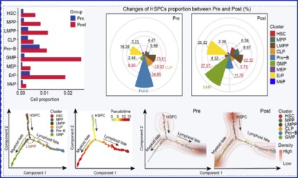 文献分享 |Cell Discovery，刘兵 / 黄晓军团队合作解析 G -CSF 诱导人骨髓造血淋髓偏倚和免疫低反应性的潜在机制