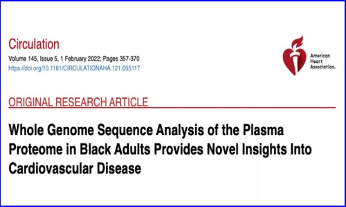 Circulation 干货解读 |Olink 助力非裔人群蛋白基因组深度研究为心血管疾病提供新视角