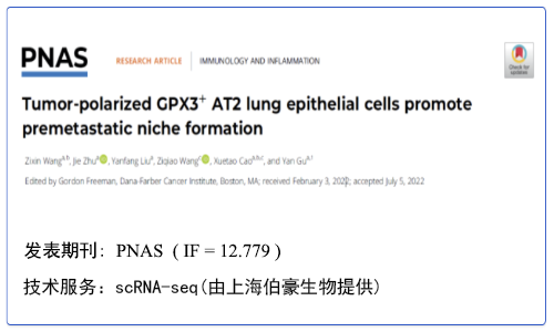单细胞项目文章 | 肿瘤极化 GPX3+ AT2 肺上皮细胞促进转移前生态位形成