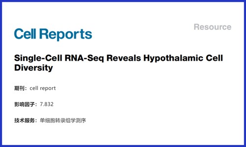 文献解读 | 单细胞 RNA-Seq 揭示下丘脑细胞多样性