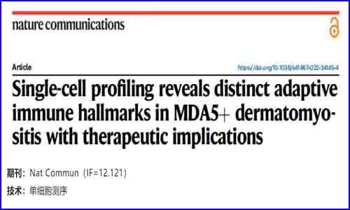 文献解读 | 单细胞分析揭示了 MDA5+ 皮肌炎的独特适应性免疫特征及其治疗意义