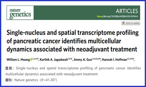 文献解读 | 胰腺癌的单核和空间转录组分析识别与新辅助治疗相关的多细胞动力学