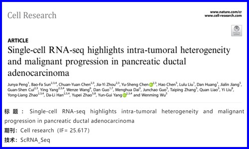 文献解读 | 单细胞 RNA-seq 揭示胰腺导管腺癌的肿瘤内异质性和恶性进展