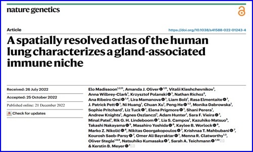 文献解读 |Nat Genet 发布迄今最全面的人类肺细胞空间图谱，首次揭示腺体相关的免疫生态位