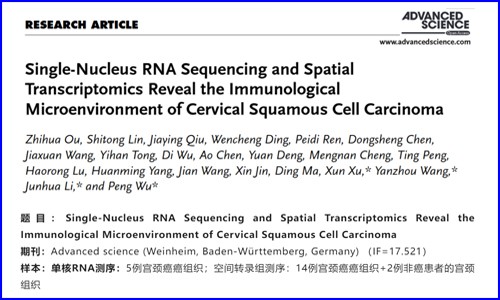 文献解读 | 单核 RNA 测序和空间转录组学揭示宫颈鳞状细胞癌的免疫微环境