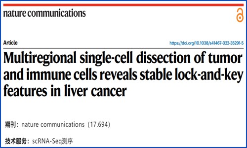 文献解读 | 基于多区域单细胞测序揭示肝癌组织中肿瘤细胞与免疫细胞钥锁特性