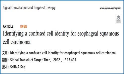 文献解读 | 鉴别食管鳞状细胞癌的混淆细胞