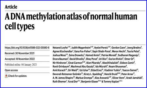 文献解读 | Nature 人类细胞类型 DNA 甲基化图谱揭示不同个体相同细胞类型的甲基化模式极其相似
