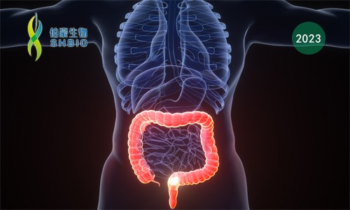项目文章 | 粪便和血液中的新型 DNA 甲基化可作为结直肠癌和癌前病变的早期诊断标志物