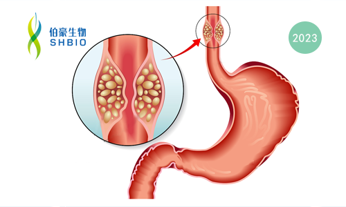 文献解读 | 食管癌的单细胞转录景观及其对新辅助化疗的调控