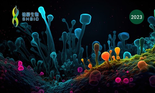 文献解读 | 不同肿瘤的癌细胞状态复发以及与肿瘤微环境特定的相互作用