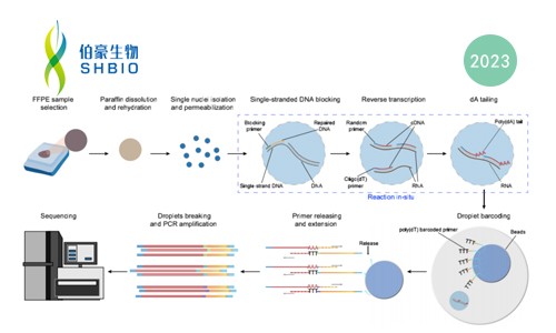 登陆 Nature Communications-M20 Seq 技术实现 FFPE 样本高性能检测