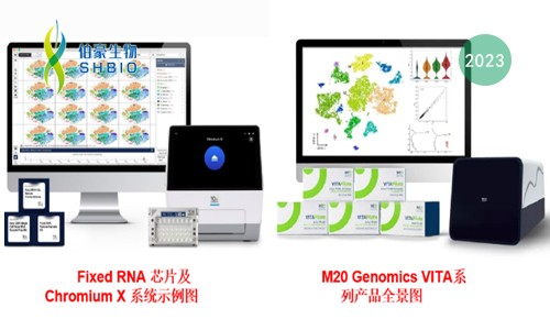 技术大比 | 单细胞 RNA 测序选 M20 还是 Flex?