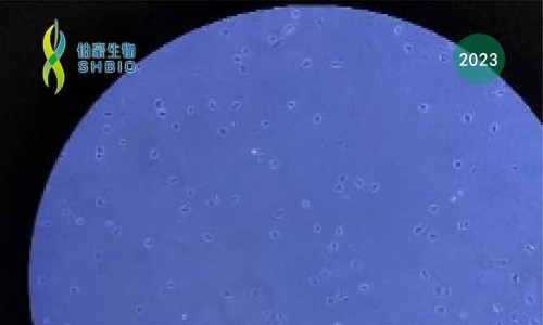 九游平台官网 FFPE 石蜡样本多组学一站式解决方案