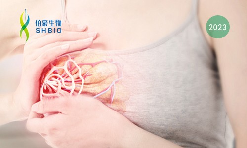 文献解读 | 结合单细胞和空间转录组揭示乳腺癌传播过程中的代谢演变