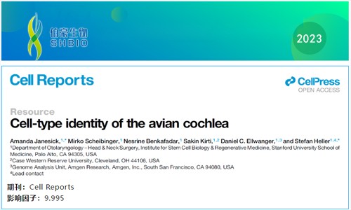 文献解读 | 鸟类耳蜗单细胞图谱