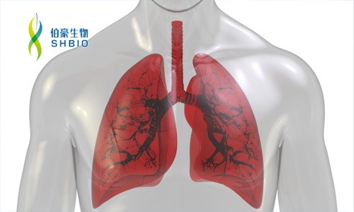 文献解读 | 单细胞 RNA-seq 揭示特发性肺纤维化中异位和异常的肺驻留细胞群
