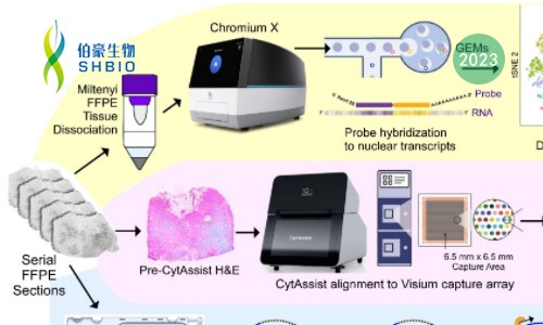 Xenium 空间原位分析高端局 | 从文献解析到研究思路大揭秘
