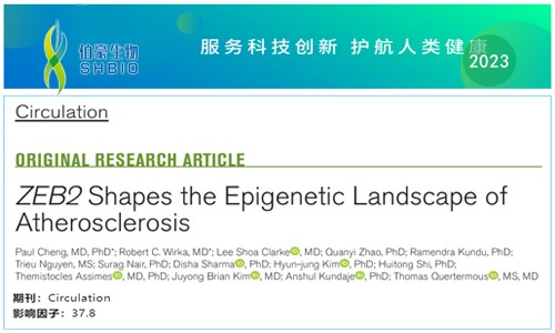 文献解读 |scRNA-seq 联合 scATAC-seq 解析 ZEB2 调控动脉粥样硬化表观遗传景观