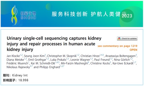 文献解读 | 尿 scRNA-seq 捕获人类急性肾损伤的肾损伤和修复过程