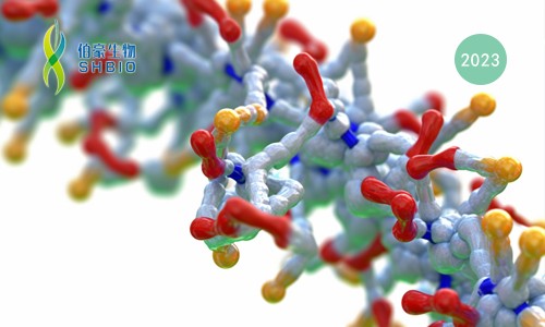 液体活检 |Olink PEA 技术助力发现神经胶质瘤精准早诊循环蛋白标志物