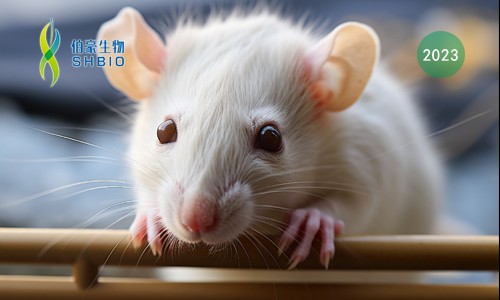 文献解读 | 单细胞 RNA 测序揭示了小鼠脊髓小胶质细胞对周围神经损伤的时间和性别特异性反应，并将 ApoE 与慢性疼痛联系起来