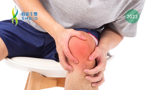 时空组学项目文章 | 时空组学技术助力发现类风湿关节炎疾病治疗新靶点