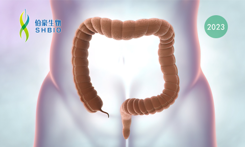 mRNA-seq 项目文章 | EIF3f 通过增强结直肠癌去泛素化活性介导 SGOC 通路重编程