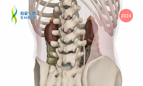 项目文章 |Olink（IF =27.973）基于泼尼松联合 mTOR 抑制剂西罗莫司治疗腹膜后纤维化的临床研究