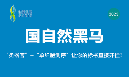 国自然黑马 |“类器官 + 单细胞测序”让你的标书直接开挂！